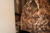 Drake Camouflage XL Hunting Vest Raleigh Durham Craigslist  