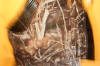 Drake Camouflage XL Hunting Vest Raleigh Durham Craigslist  