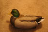 Mallard Duck Decoys Craigslist Raleigh Durham Whole Box  