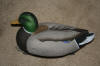 Mallard Duck Decoys Craigslist Raleigh Durham Whole Box  