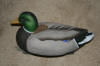 Mallard Duck Decoys Craigslist Raleigh Durham Whole Box  